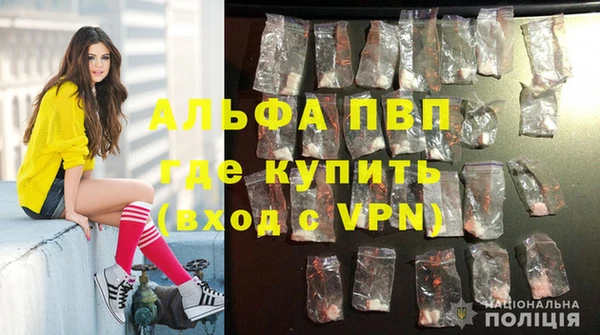 круглые Новодвинск