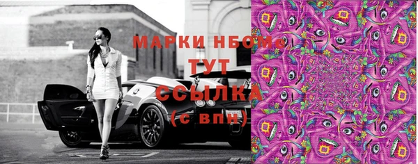 тгк Алзамай