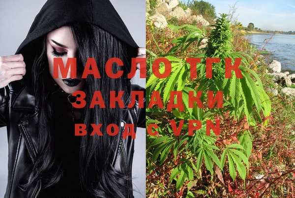 тгк Алзамай