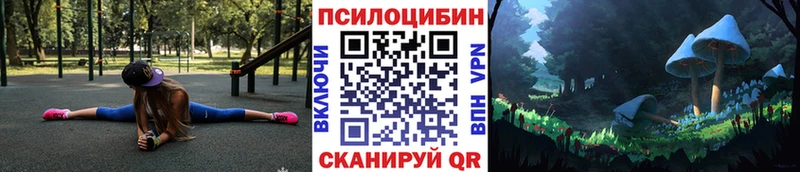 цены наркотик  Ижевск  Псилоцибиновые грибы прущие грибы 