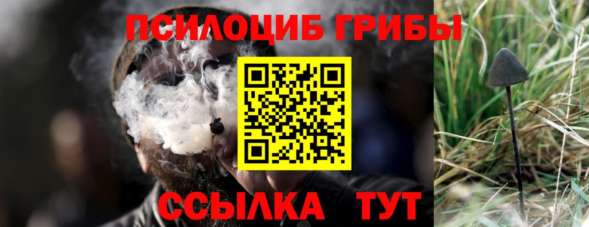 Галлюциногенные грибы Psilocybe Ижевск